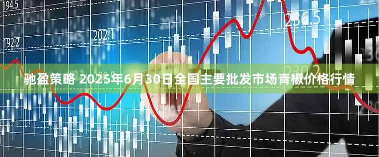 驰盈策略 2025年6月30日全国主要批发市场青椒价格行情