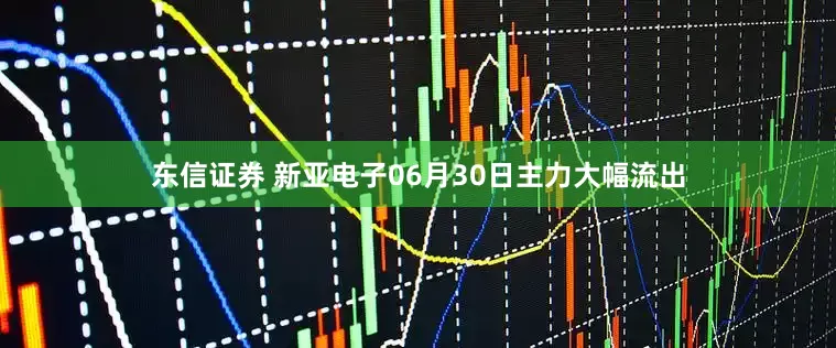 东信证券 新亚电子06月30日主力大幅流出