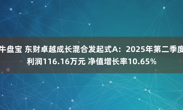 牛盘宝 东财卓越成长混合发起式A：2025年第二季度利润116.16万元 净值增长率10.65%