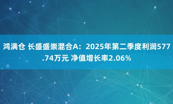 鸿满仓 长盛盛崇混合A：2025年第二季度利润577.74万元 净值增长率2.06%