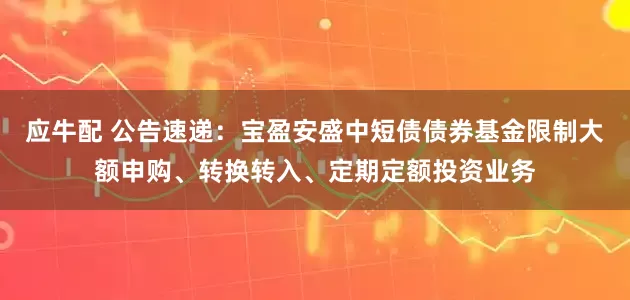 应牛配 公告速递：宝盈安盛中短债债券基金限制大额申购、转换转入、定期定额投资业务